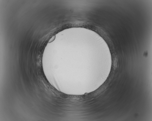 X0000115641204200912221303