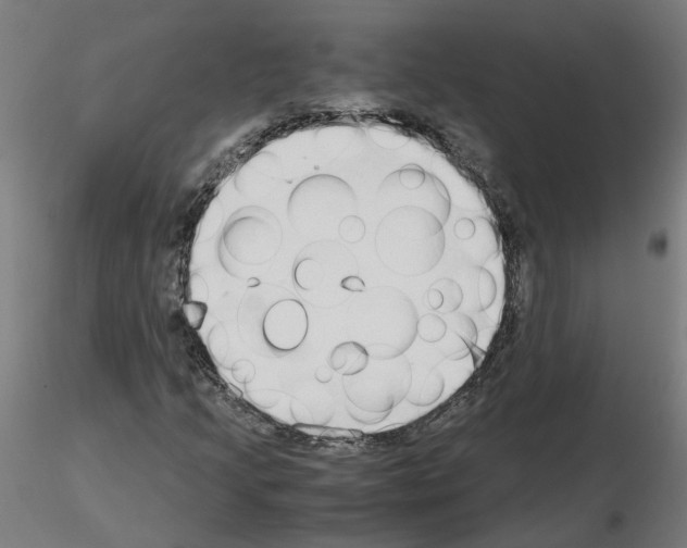 X0000115641205200912221303