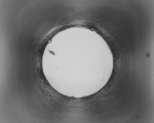 X0000115641206200912221303