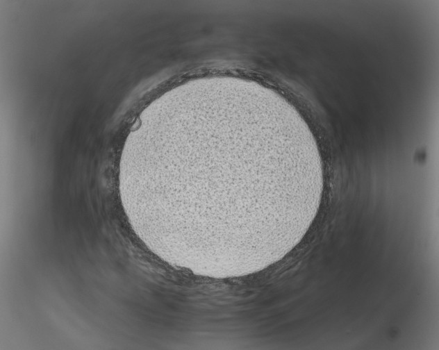 X0000115641207200912221303
