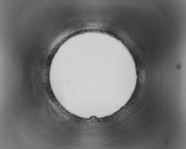 X0000115641208200912221303