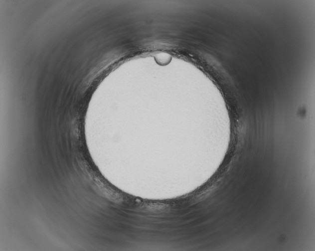 X0000115641209200912221303