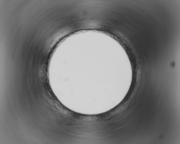 X0000115641210200912221303