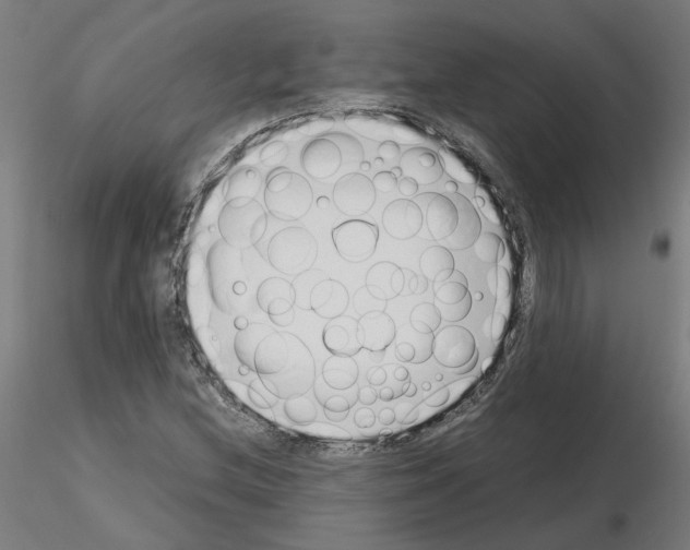 X0000115641212200912221303