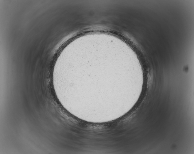 X0000115641213200912221303