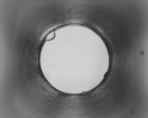 X0000115641214200912221303