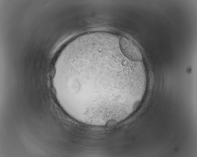 X0000115641215200912221303
