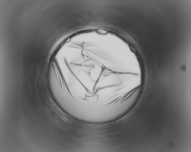 X0000115641216200912221303