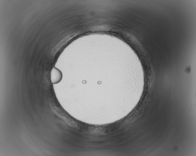 X0000115641217200912221303
