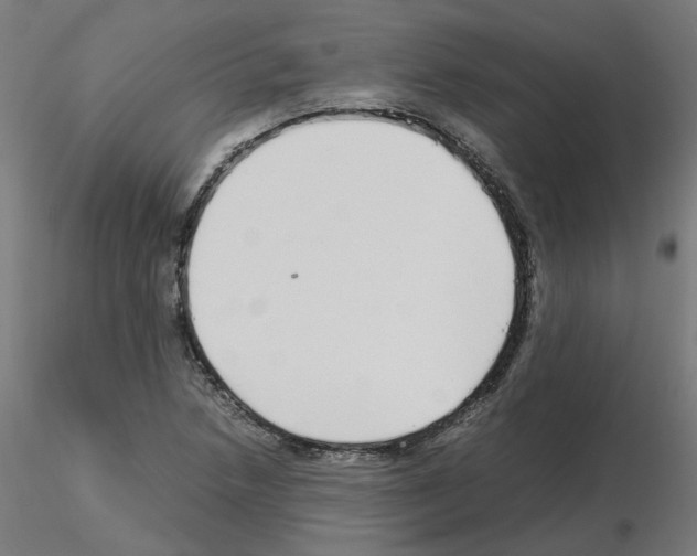 X0000115641218200912221303