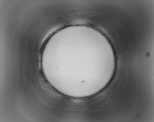 X0000115641219200912221303