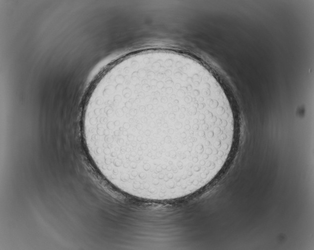 X0000115641222200912221303