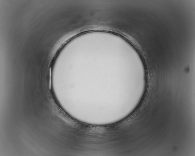 X0000115641223200912221303
