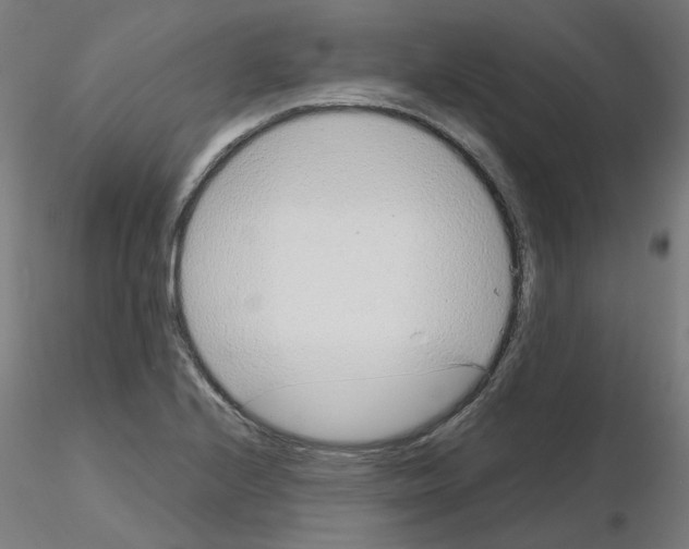 X0000115641224200912221303