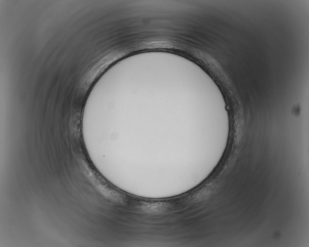 X0000115641225200912221303