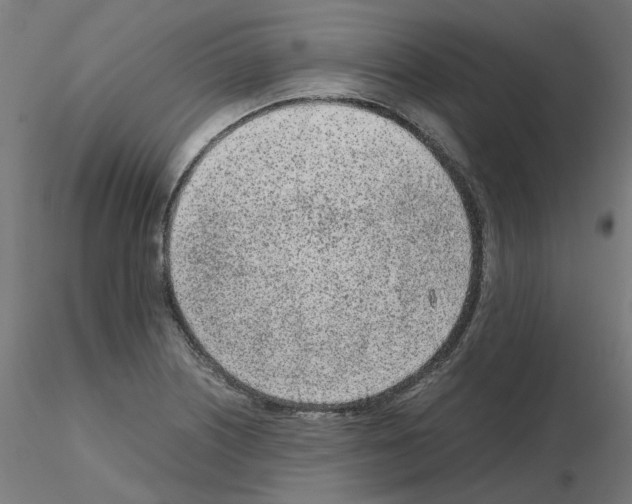 X0000115641226200912221303