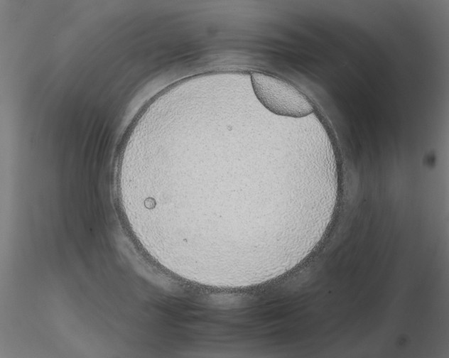 X0000115641227200912221303