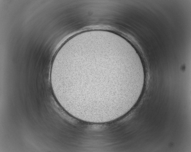X0000115641228200912221303