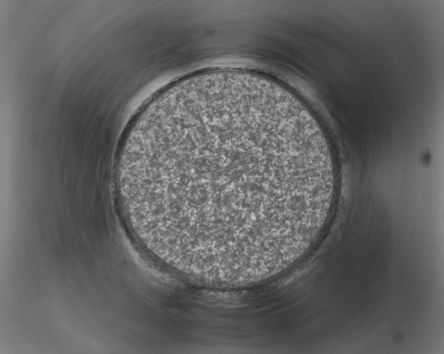 X0000115641229200912221303