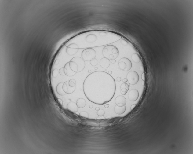 X0000115641230200912221303