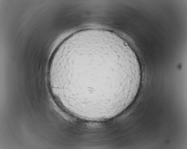 X0000115641231200912221303