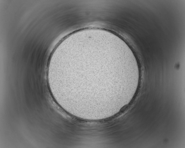 X0000115641232200912221303