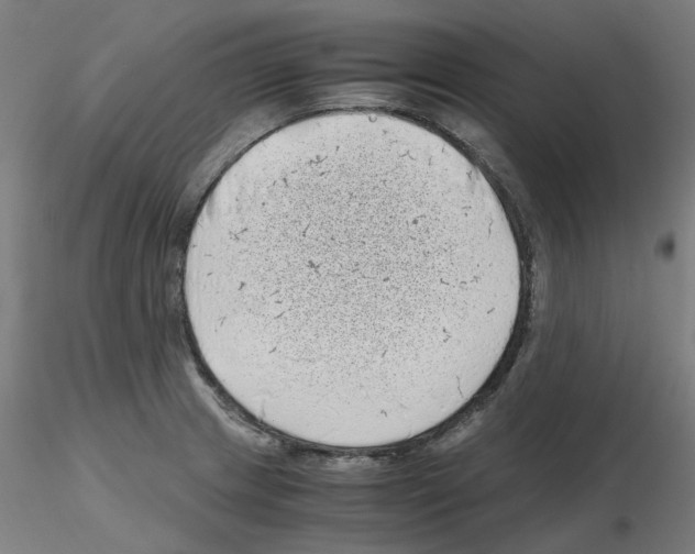 X0000115641233200912221303
