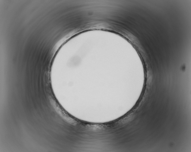 X0000115641234200912221303