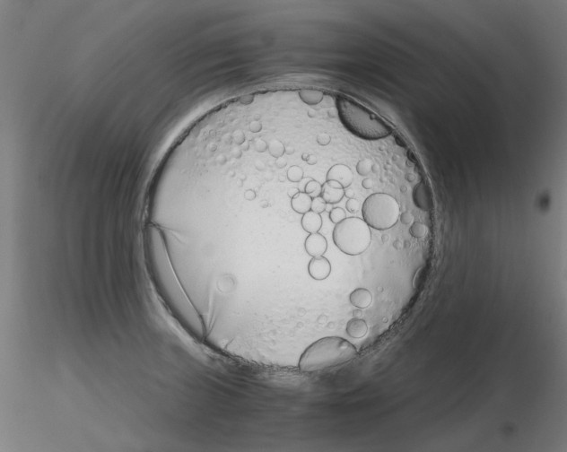 X0000115641235200912221303