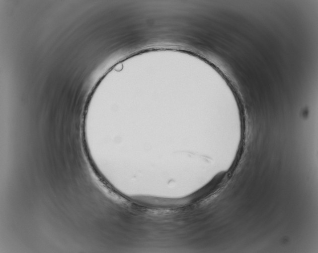 X0000115641237200912221303