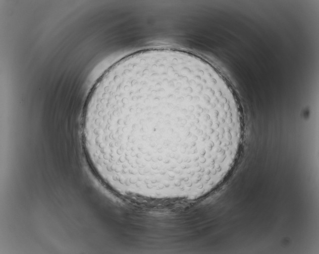 X0000115641239200912221303