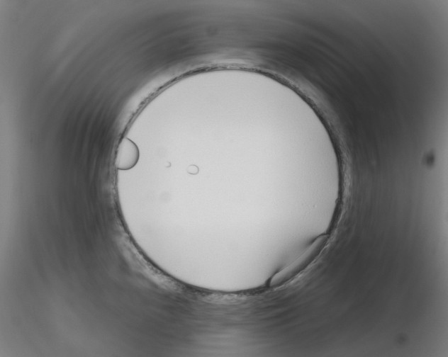 X0000115641240200912221303