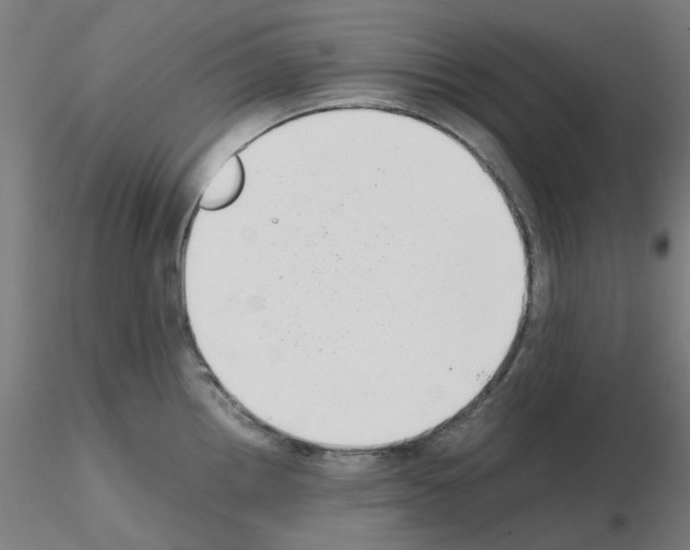 X0000115641242200912221303