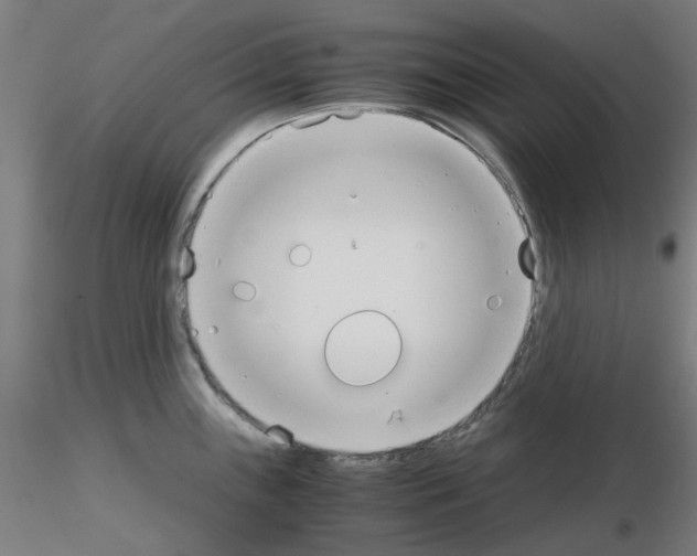 X0000115641243200912221303