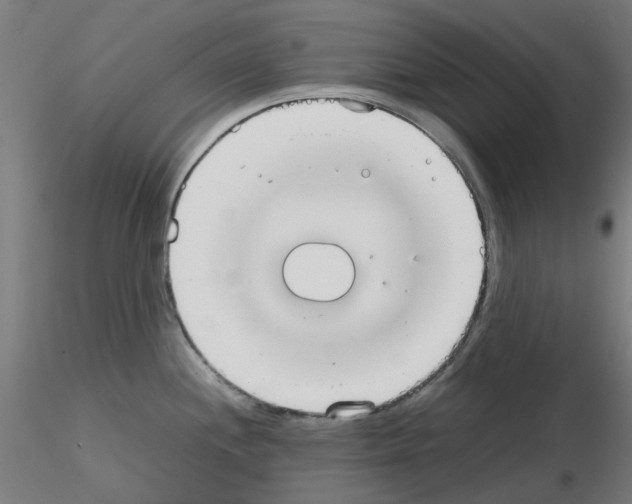 X0000115641244200912221303