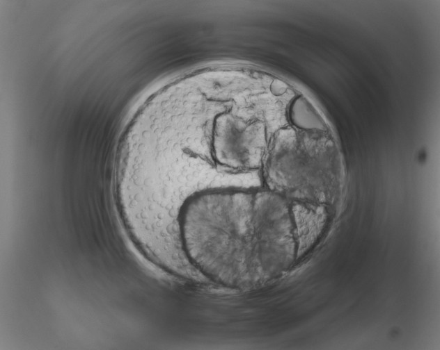 X0000115641245200912221303