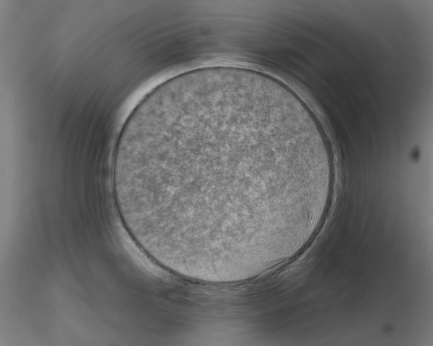 X0000115641246200912221303
