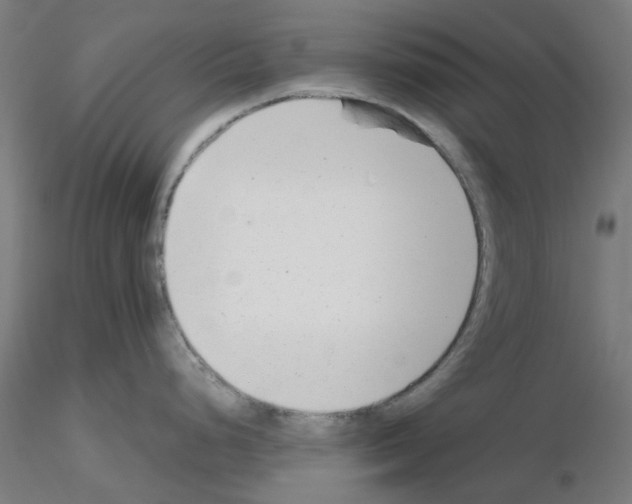 X0000115641248200912221303