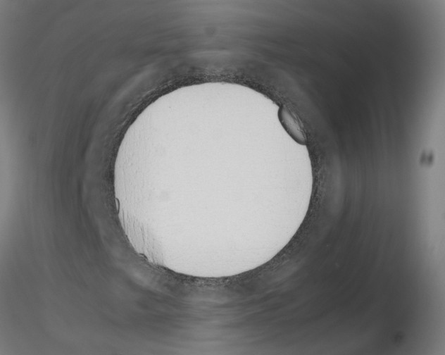 X0000115641249200912221303