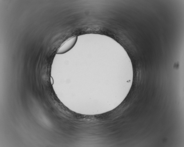 X0000115641250200912221303