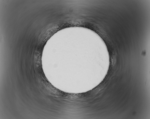 X0000115641251200912221303