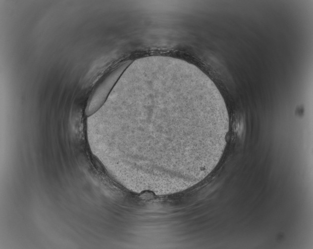 X0000115641252200912221303