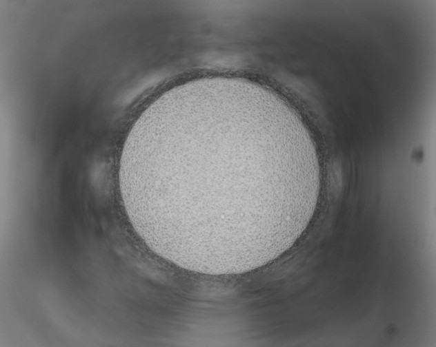 X0000115641254200912221303
