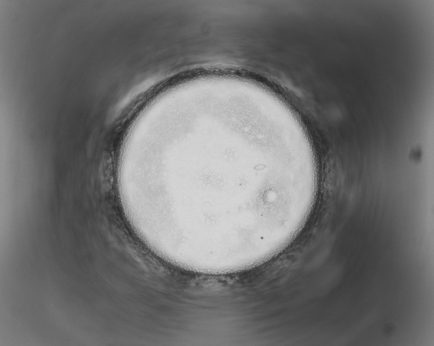 X0000115641255200912221303