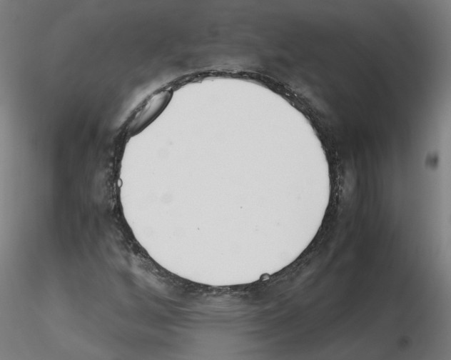 X0000115641256200912221303