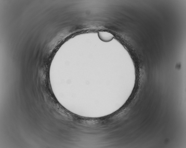 X0000115641257200912221303