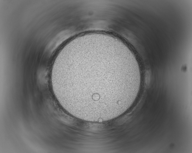 X0000115641258200912221303