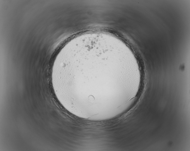 X0000115641259200912221303