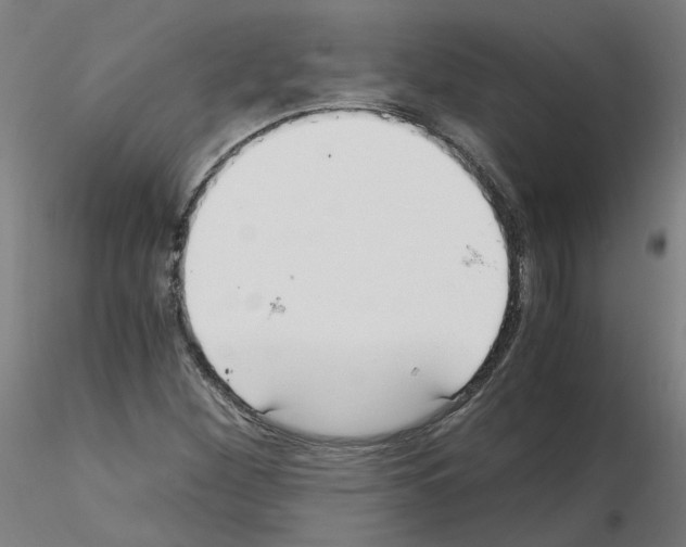 X0000115641260200912221303