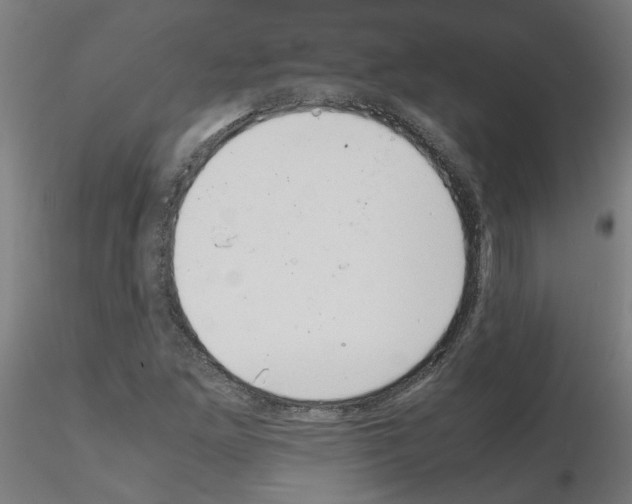 X0000115641261200912221303